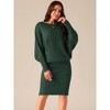 Seta T Women's Long Batwing Sleeve Cable Knit Chunky Pullover Sweater Dress - 3 of 4