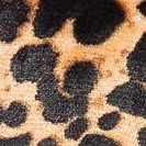 leopard print 2