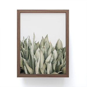 Romana Lilic / LA76 Photography Moonshine Snake Plant Framed Mini Print - Society6 - 1 of 1