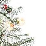 elk base(style 1)-2pcs