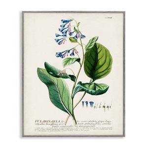 Stupell Industries Botanical Blue Flowers Vintage Design Framed Giclee Art - 1 of 4