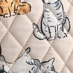 a cat's life