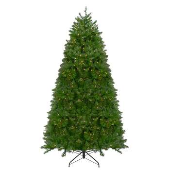 Northlight  12' Pre-Lit Northern Pine Full Artificial Christmas Tree, Clear Lights
