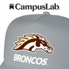 Western Michigan University Primary Logo Foam Trucker Cap Grey Os - 4 of 4