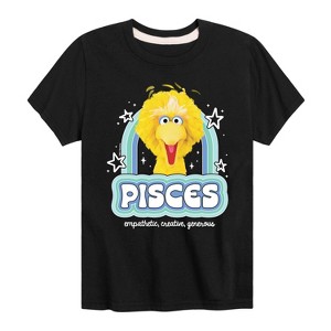 Boys' - Sesame Street - Pisces Big Bird Short Sleeve Graphic T-Shirt - 1 of 4