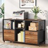 Hommoo 2 Drawer File Cabinet, Wood Mobile Lateral Filing Cabinet - 3 of 4