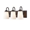 Millennium Lighting Ivey Lake 3 - Light Vanity in  Rubbed Bronze - 2 of 4