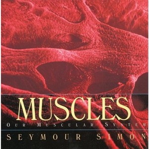 Muscles - (Trophy Picture Books (Paperback)) by  Seymour Simon (Paperback) - 1 of 1