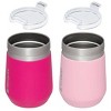 Stanley 2pk 10oz Stainless Steel Everyday Go Tumblers : Target