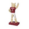 Evergreen University of Oklahoma, Mascot Statue - 3 of 4