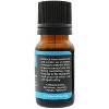 Plantlife Meditate Essential Oil Blend – 100% Pure, Therapeutic Grade – No Additives or Fillers – Made in California – 10ml - 2 of 3