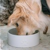Dexypaws: Ceramic Dog Bowl: White, 26oz, Pet Feeding Dish - 3 of 4