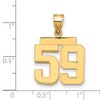 Black Bow Jewelry 14k Yellow Gold, Athletic Collection Medium Polished Number 59 Pendant - 2 of 3