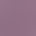 Plum Purple