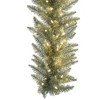Vickerman Champagne Artificial Christmas Garland - 4 of 4