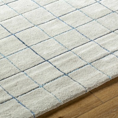Hauteloom Rectangle Area Rug   Blue