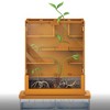4M: Green Science - Grow-A-Maze - DIY Mini Plant Growth Lab, Kids 5+ - 2 of 4