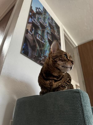 Guest review image 1 of 1, zoom in