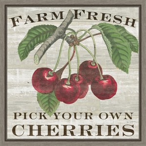 Amanti Art Farm Fresh Cherries by Sue Schlabach Canvas Wall Art Print Framed 16-in. x 16-in. - 1 of 4