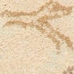 light gold/light gold