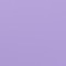 lilac purple
