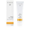 Dr. Hauschka Melissa Day Cream - 3 of 4