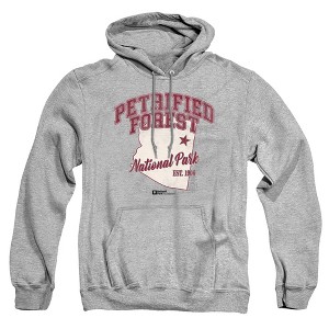 Men's Petrified Forest National Park State Line Pull-Over Hoodie - 1 of 4