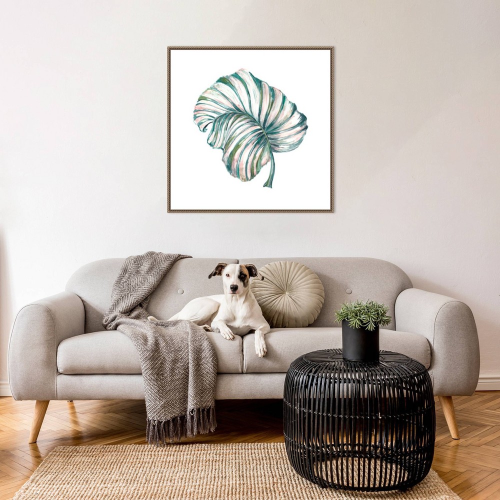 Photos - Other Decoration Amanti Art 30"x30" Island Leaf III by Tre Sorelle Studios Framed Canvas Wall Art Print