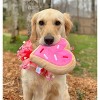 Midlee Pink Heart Sugar Cookie Dog Toy - 4 of 4