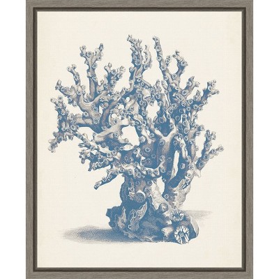 Amanti Art Antique Coral Collection V by Vision Studio Canvas Wall Art Print Framed 16 x 20-in.