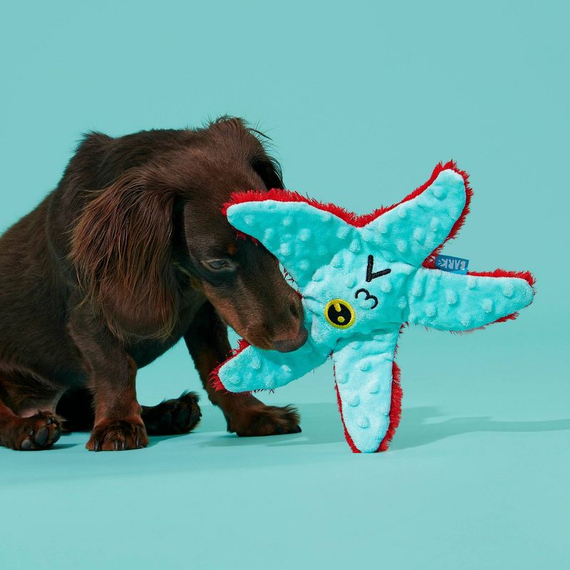 BARK Carla Starfish Dog Toy, 4 of 12