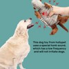 Itopfox Plush Dog Squeaky Toy Stuffed Armadillo Animal Pet Puppy Chew Toys for Small Medium Large All Breed Sizes Dogs, Gray - 2 of 4