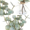 Attop Eucalyptus Stems in Glass Vase with Faux Water,3Pcs Fake Plant with Double-Sided Green Leaves for Centerpiece - 4 of 4