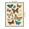 Amanti Art Collected Flutter II by Victoria Barnes Framed Canvas Wall Art - 4 of 4