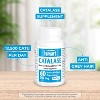 SuperSmart Catalase 500mg per Day (12500 CatU) - Natural Enzyme - Anti Gray Hair Supplement | Non-GMO & Gluten Free - 60 Delayed Release Capsules - 2 of 4