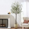 Best Choice Products Artificial Olive Tree, Lifelike Faux Tree, Home Accent Décor w/ Planter Pot, Realistic Trunk - 3 of 4