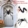 iMountek"59-inch Halloween Poseable Spider with 126-inch Mega Web, Creepy Outdoor Yard Decoration"Black&White - 2 of 4