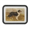 Framed Country Dog Print (Set of 2) - 2 of 3