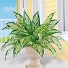 Collections Etc Artificial Dieffenbachia Bush Bundles - Set of 2 NO SIZE Green - 2 of 3