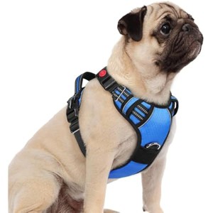rabbitgoo Dog Harness Small Sized, No Pull Dog Vest with 3 Buckles, Adjustable Easy Control Handle and Reflective Strips, Blue, S - 1 of 1