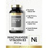 Carlyle Niacinamide 500mg | 300 Capsules - 3 of 4