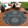 Charcoal Gray And Ivory Floral Medallion Washable Indoor Outdoor Area Rug - 2 of 4