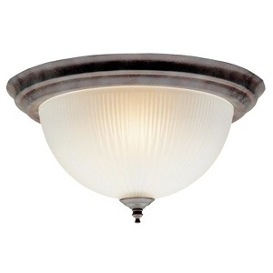 Westinghouse 14 in. L Ceiling Light - 1 of 1