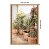 Amanti Art Patio Garden with Potted Succulents by Henrike Schenk Canvas Wall Art Print Framed - 3 of 4