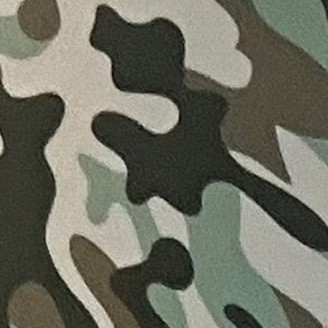 camouflage