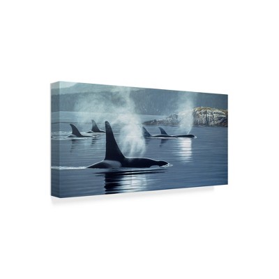 Trademark Fine Art -Ron Parker 'Morning Mist' Canvas Art