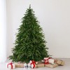 Northlight  7.5' Roosevelt Fir Artificial Christmas Tree - Unlit - 2 of 4