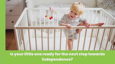 Silver Pine House-Shaped Toddler Bed with Guard Rails