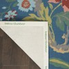 Nourison Sun N' Shade SND82 Indoor/outdoor Area Rug - 4 of 4