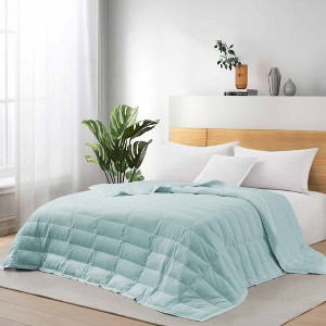 Puredown Lightweight Cooling Lyocell White Down Blanket, Tencel Comforter for Summer - 1 of 4